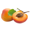 Aprikose