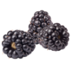 Brombeere