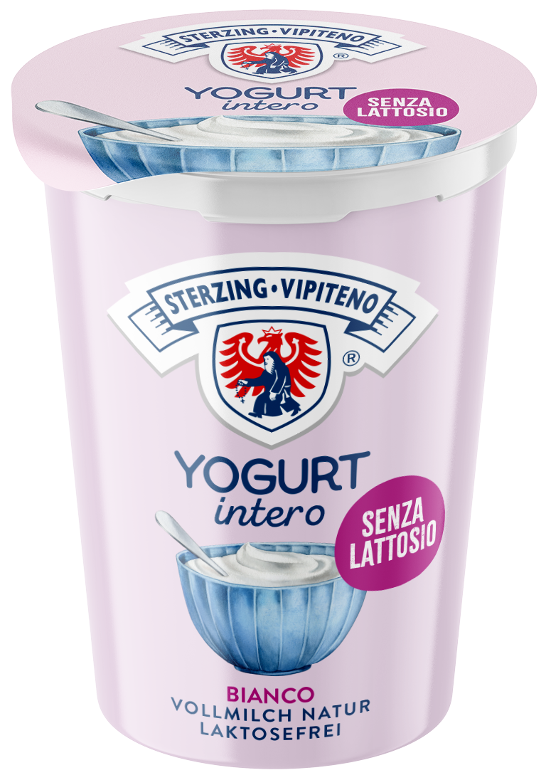 Vollmilchjoghurt Laktosefrei - 500g - Natur