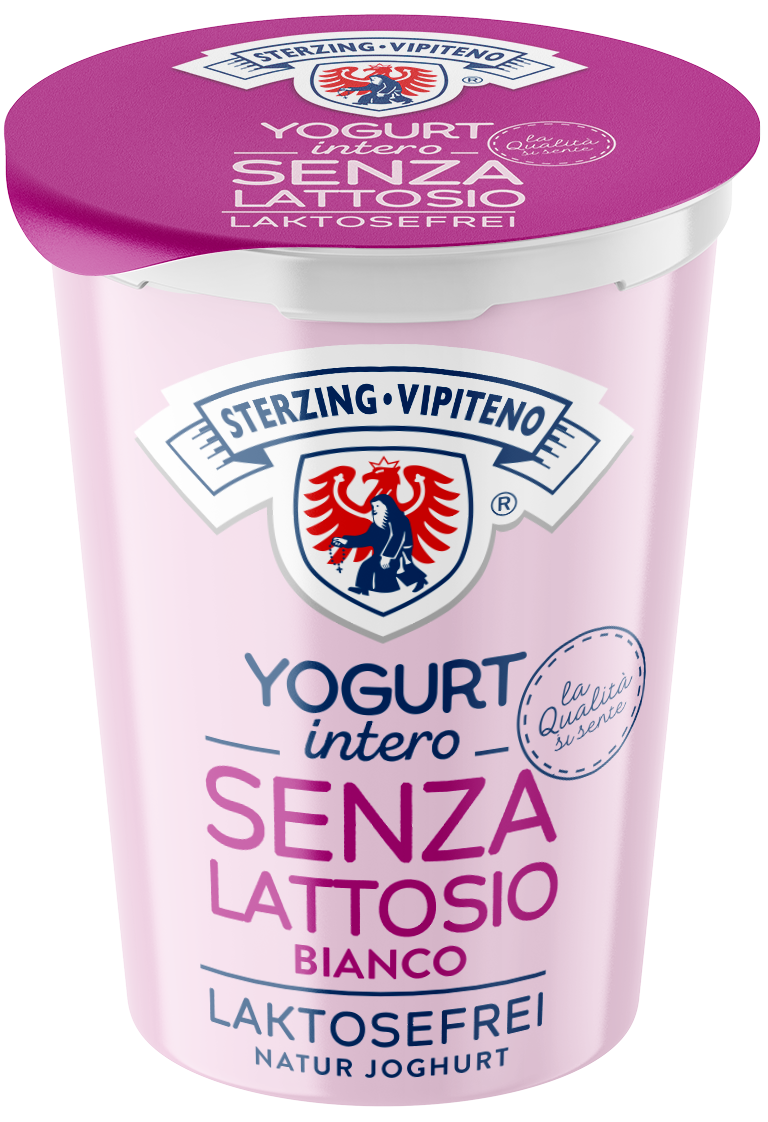 Vollmilchjoghurt Laktosefrei - 500g - Natur