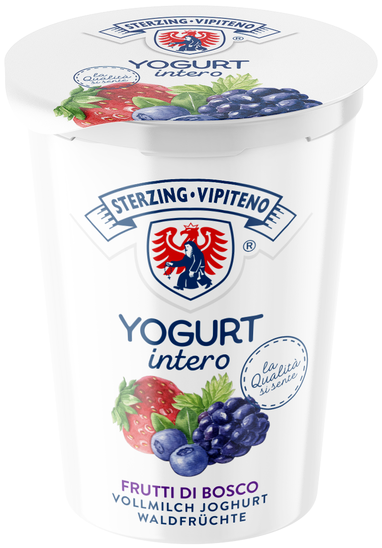 Vollmilchjoghurt - 500g - Waldfrüchte