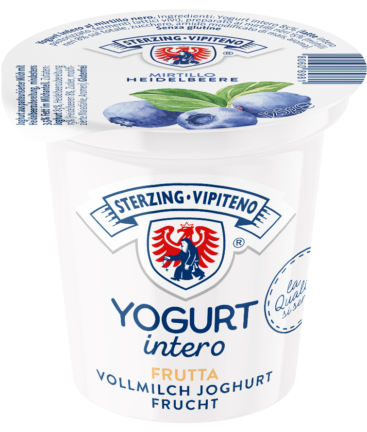 Vollmilchjoghurt - 125g - Heidelbeer