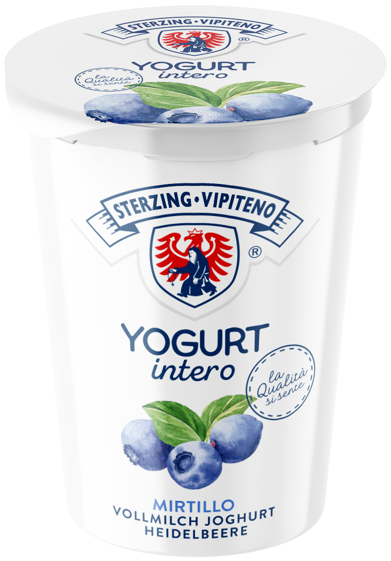 Vollmilchjoghurt - 500g - Heidelbeer