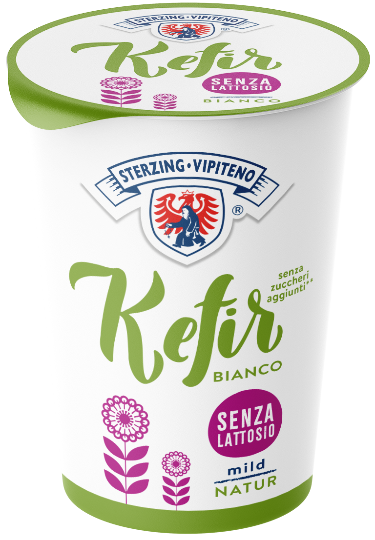 Kefir Vollmilch Laktosefrei - 450g - Natur