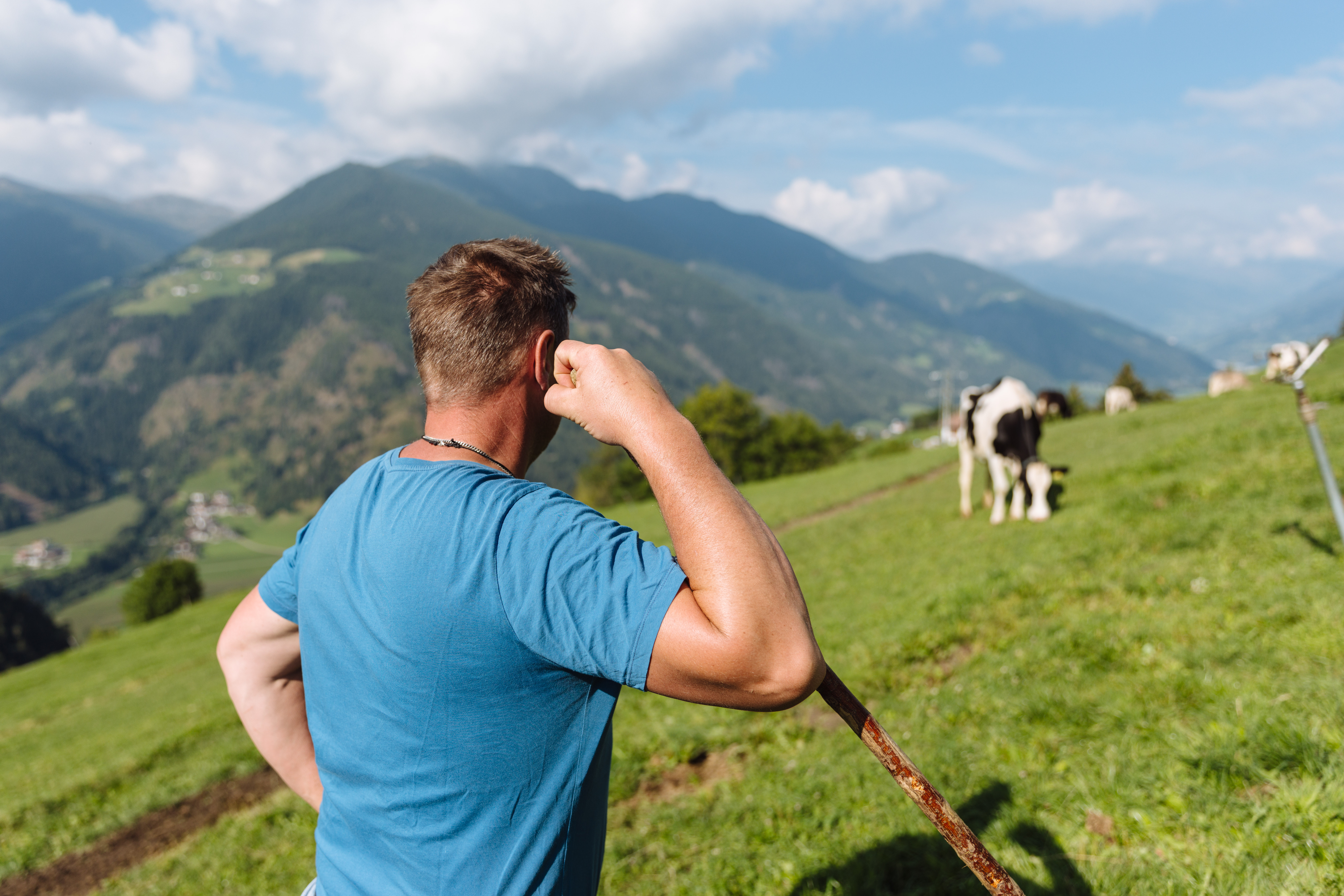 Thomas Seehauser 3/4 Profil. Bild aufs Feld und seine kühe gerichtet.