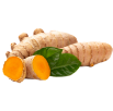 Kurkuma