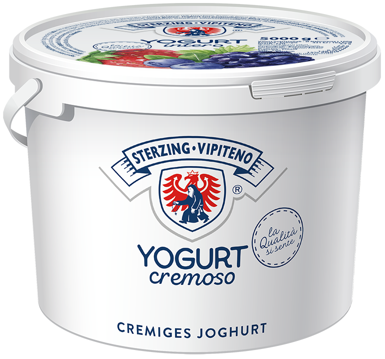 Vollmilchjoghurt - 5000g - Waldfrüchte