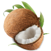 Kokosnuss