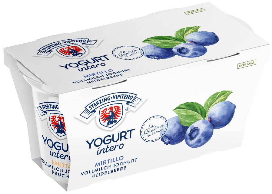 Vollmilchjoghurt - 125g x 2 - Heidelbeer