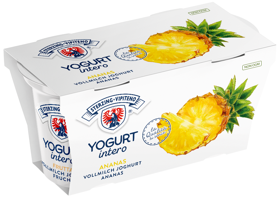 Vollmilchjoghurt - 125g x 2 - Ananas