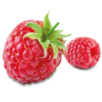 Himbeere