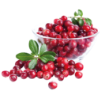Preiselbeeren