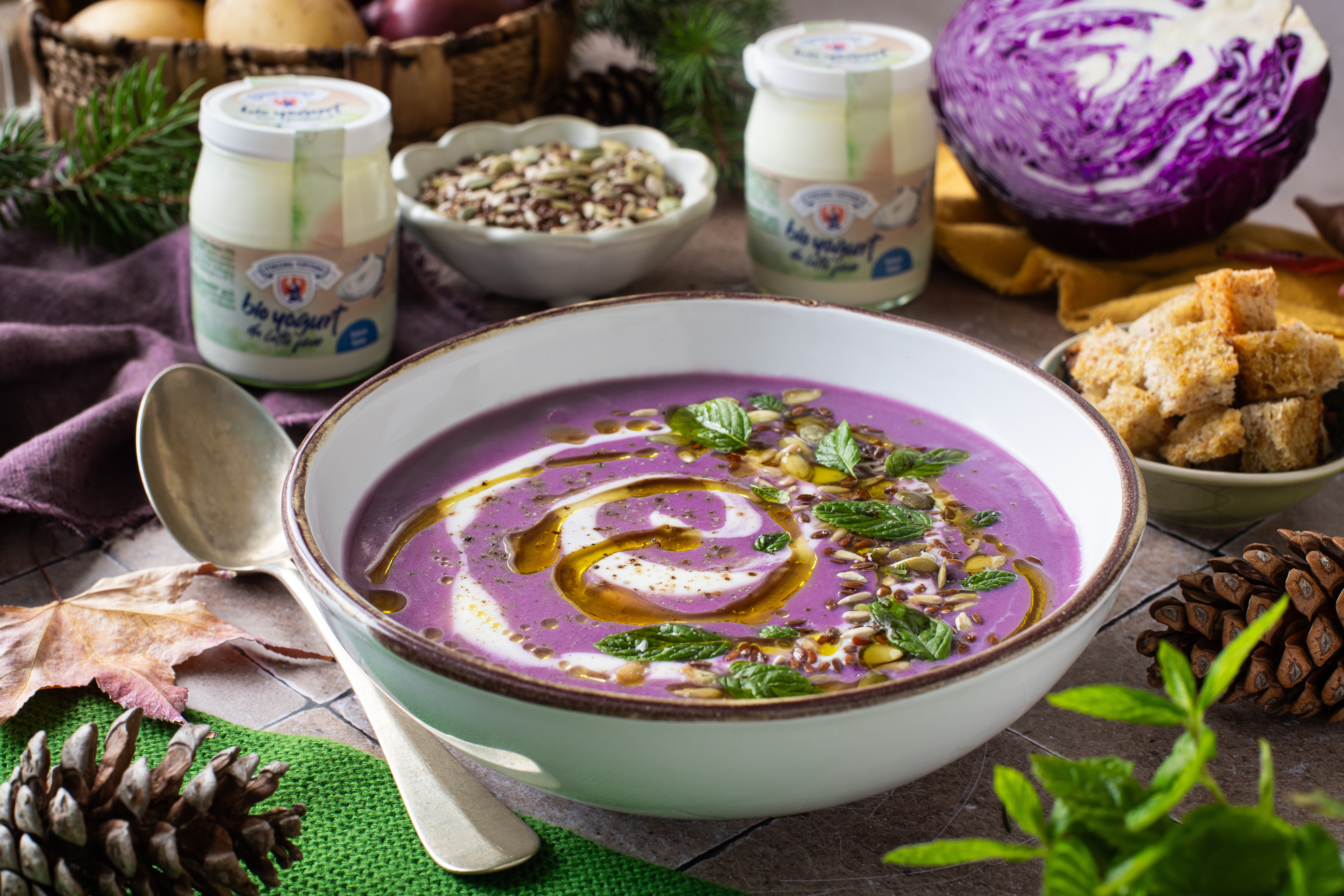 Schale mit violetter Suppe, garniert mit Joghurt, Samen und Minzblättern, umgeben von Joghurtgläsern, Brotwürfeln, einem Rotkohlkopf und Tannenzapfen