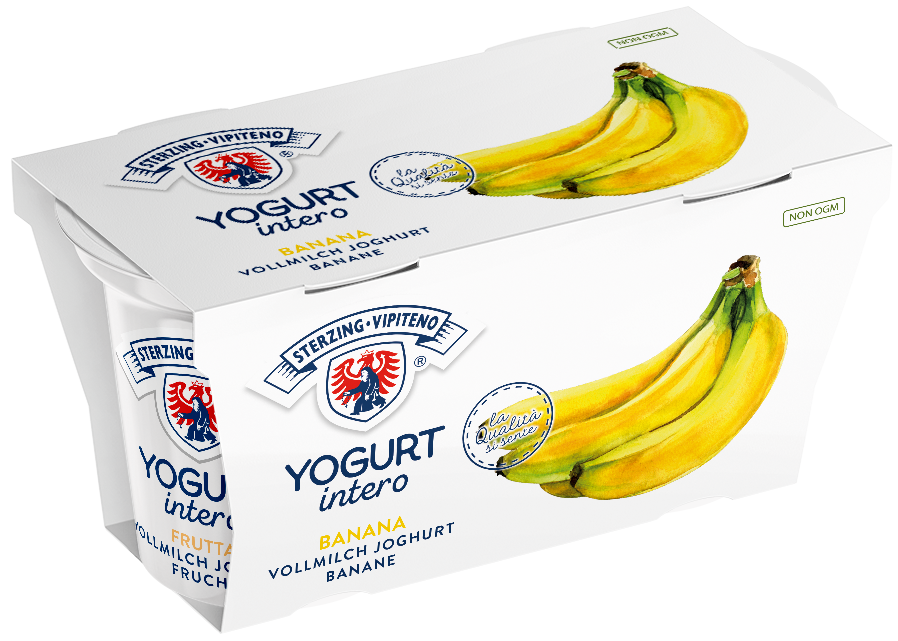 Vollmilchjoghurt - 125g x 2 - Banane