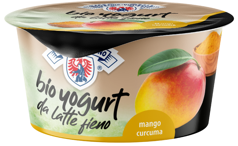 Bio Vollmilchjoghurt aus Heumilch g.t.S. - 170g - Mango | Curcuma