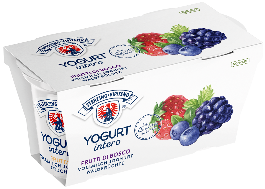 Vollmilchjoghurt - 125g x 2 - Waldfrüchte