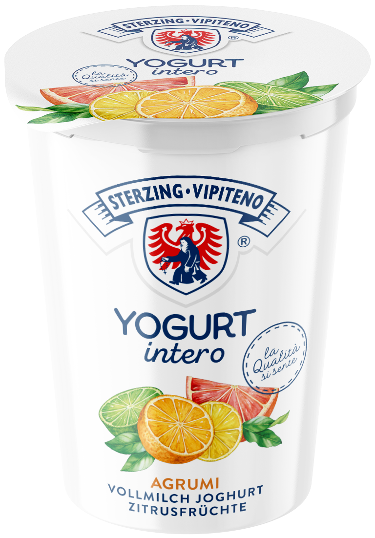 Vollmilchjoghurt - 500g - Zitrusfrüchte