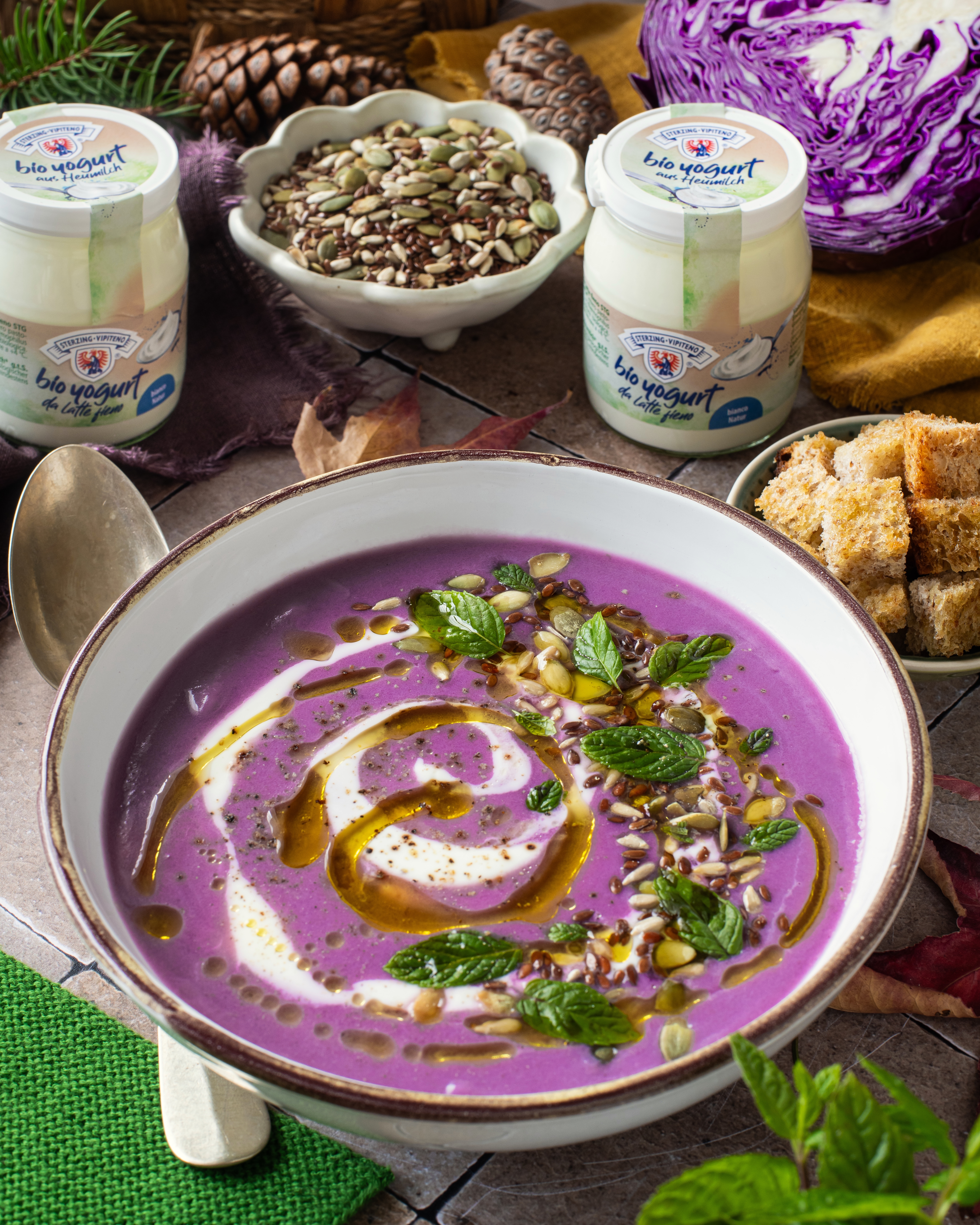 Schale mit violetter Suppe, garniert mit Joghurt, Samen und Minzblättern, umgeben von Joghurtgläsern, Brotwürfeln, einem Rotkohlkopf und Tannenzapfen