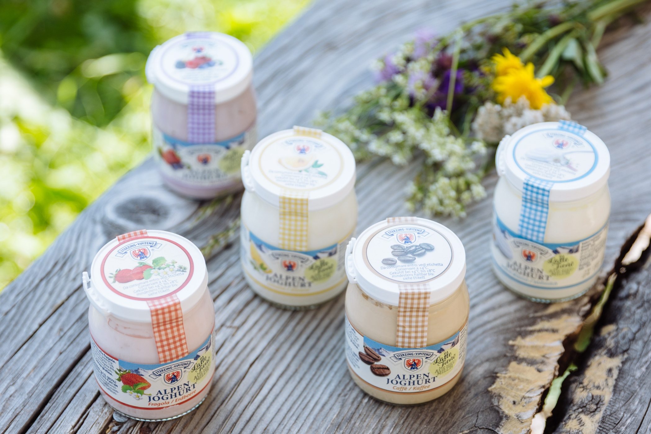 Verschiedene Sorten Alpenjoghurt im Glas auf einem Holztisch im Freien