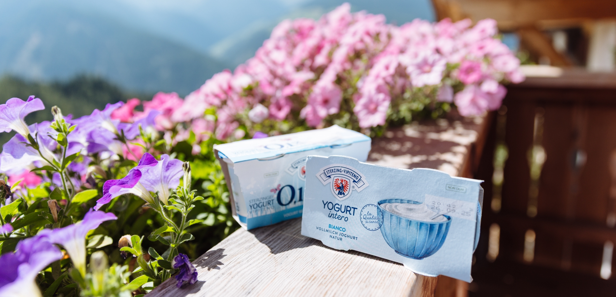 Verpackter Naturjoghurt auf einem Holztisch neben blühenden Balkonpflanzen