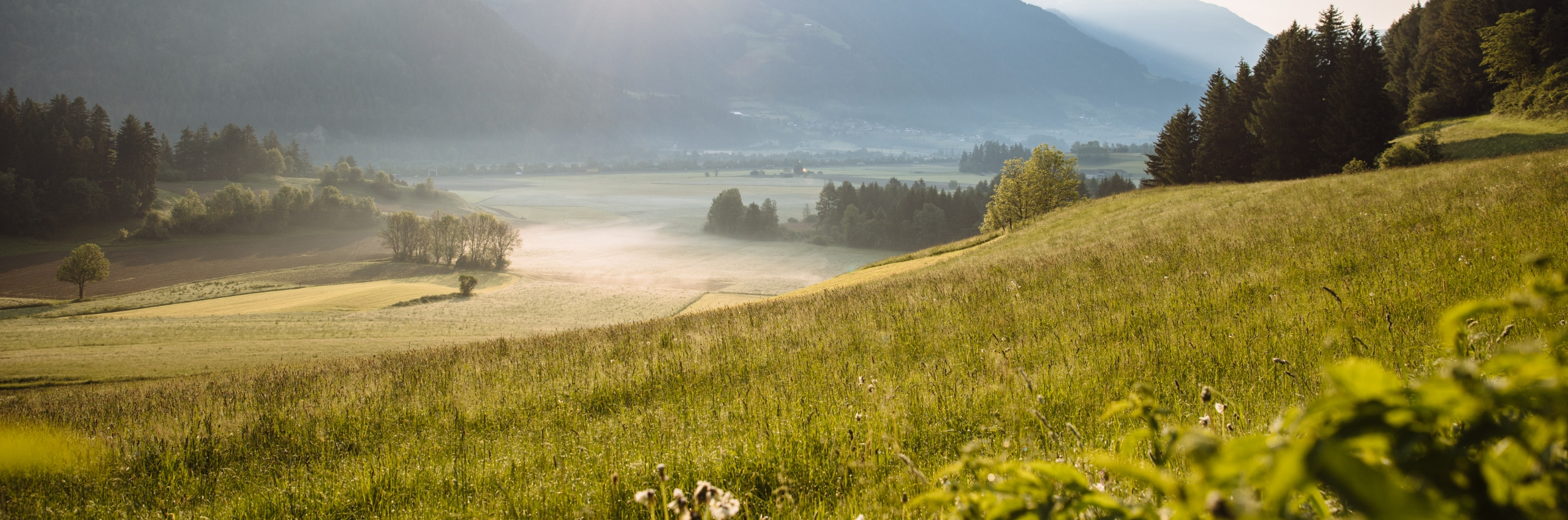Sanfte Hügellandschaft mit Wiesen und Feldern in einem alpinen Tal