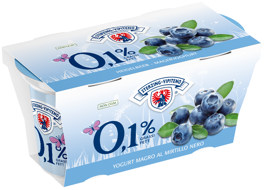 Magermilchjoghurt 0,1% - 125g x 2 - Heidelbeer