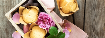 Joghurtmuffins mit weißer Schokolade