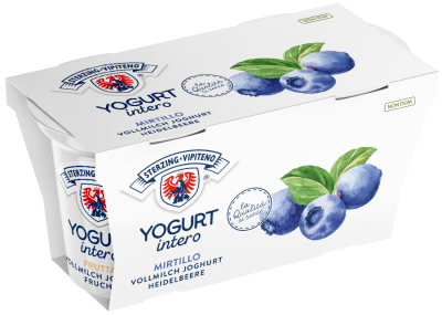 Vollmilchjoghurt - 125g x 2 - Heidelbeer